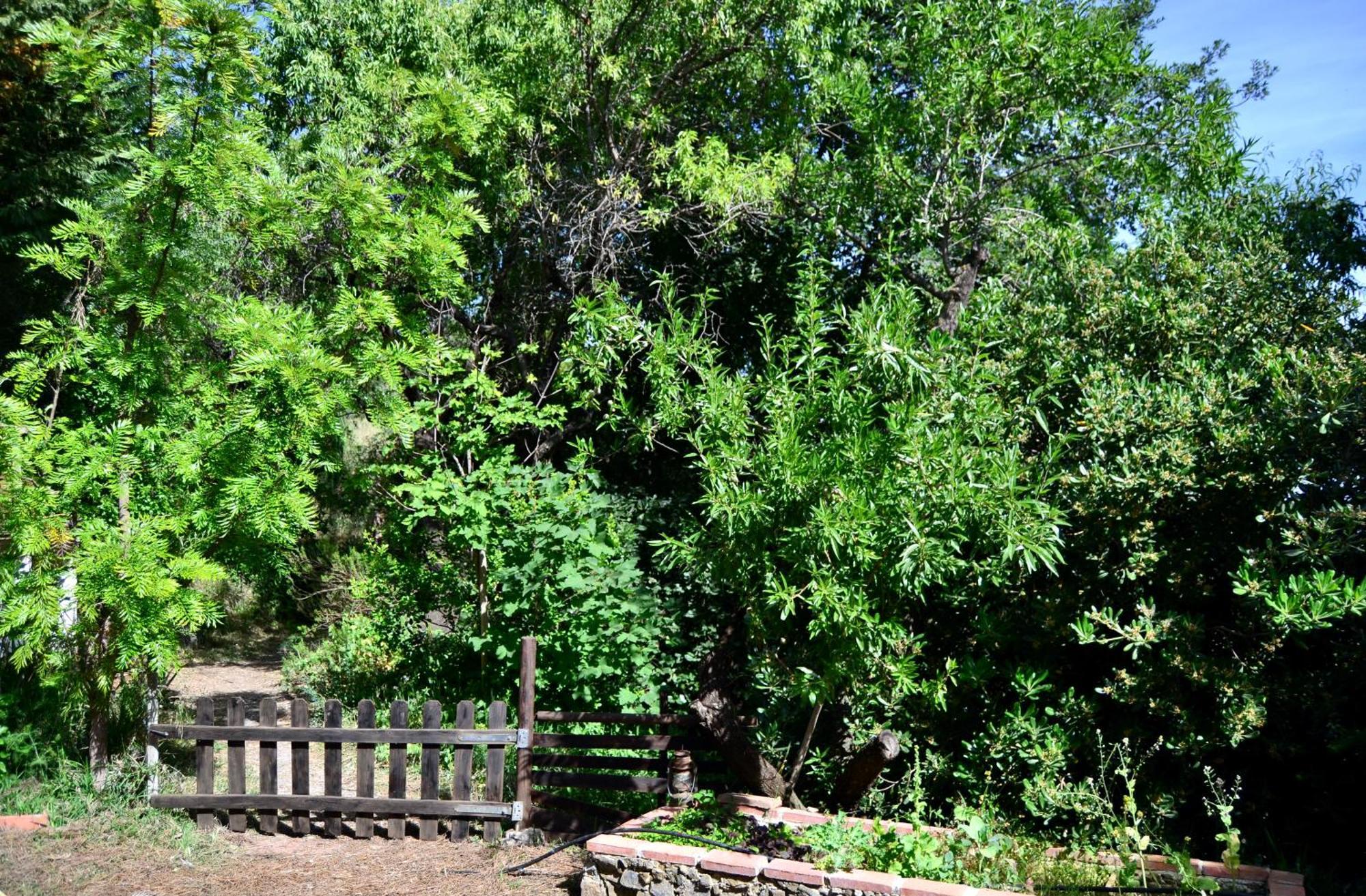 Casa Jardin Natural Sedella Ngoại thất bức ảnh