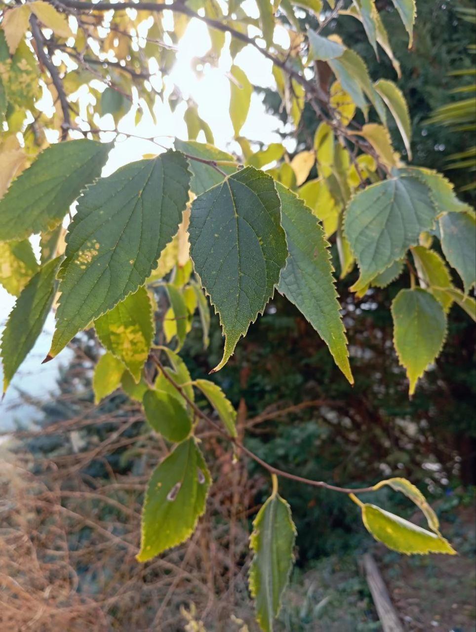 Casa Jardin Natural Sedella Ngoại thất bức ảnh